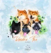 Питомник RAIDEX FOX АМЕРИКАНСКАЯ АКИТА, СИБА-ИНУ