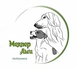 Питомник Меллер Ами: джек расселы, афганы, акиты