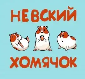 Питомник сирийских хомяков "Невский хомячок"