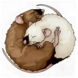 Питомник Счастливый Крыс