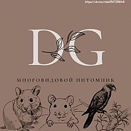 Питомник грызунов "Подарок Судьбы"