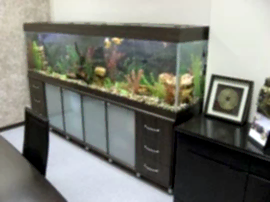 Аквамарин, аквасалон