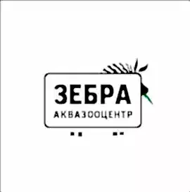 Зебра, аквазооцентр
