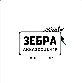 Зебра, аквазооцентр