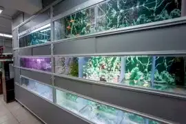 Акватеррариум, зооцентр