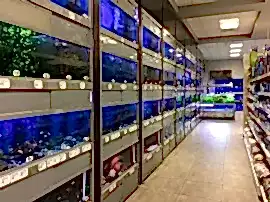 АкваИнтерио, аквариумный гипермаркет