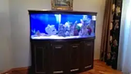 Чистый аквариум, компания по установке и обслуживанию аквариумов