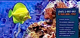 Алматинский аквариум, торгово-сервисная компания