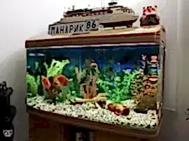 Akvarium, студия аквариумного дизайна