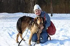 Идеальная пара классных собак в семью