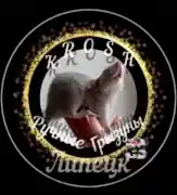 KROSH Ручные Грызуны