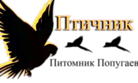 Питомник попугаев