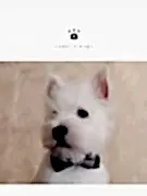 Хвост и море