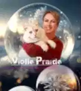 " ViollePride " Питомник кошек мейн-кун 