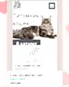 Питомник BasтаLend