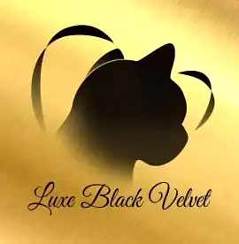 Бурманская кошка