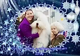 Питомник Из Бело-Голубых Ангелов