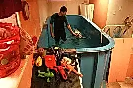 Центр реабилитации животных Дог Паласс на Мосфильмовской улице