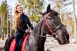 Компания по перевозке животных Zoomobil в Ленинском районе