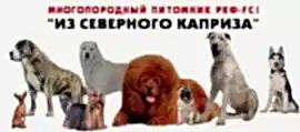 Многопородный питомник Из Северного Каприза