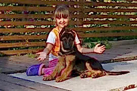 Центр дрессировки собак К-9