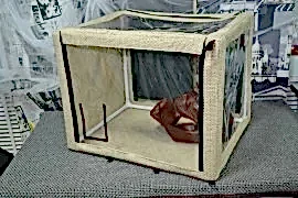 Компания по производству зоотоваров и мебели для животных Мур-Амур на Вокзальной улице, 1