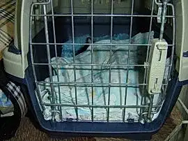 Ветеринарная клиника Аляска на шоссе Космонавтов