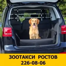 Зоотакси Ростов