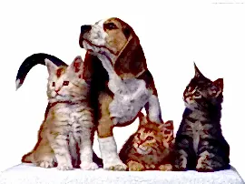 Станция по борьбе с болезнями животных в Железнодорожном районе