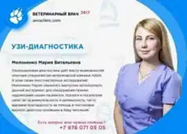 Ветеринарная клиника АВВА