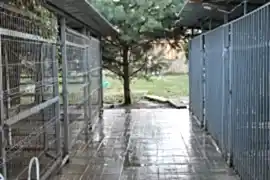 АЙКА - Благотворительный фонд