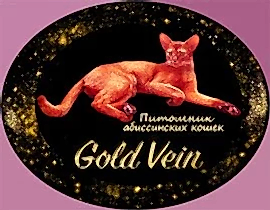 Питомник абиссинских кошек "GOlD VEIN"