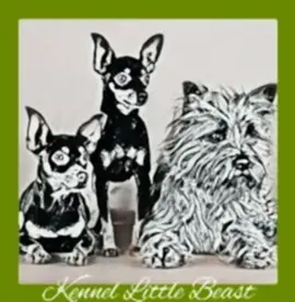 Питомник Little Beast
