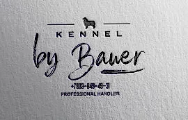 By Bauer - Бай Бауэр