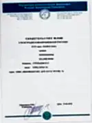 Zolland Mond - Австралийский хилер