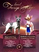 Феерия Мэджик - Feeriya Magic