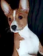 Рус Дог' Ма - Rus Dog' Ma