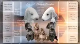 С Долгих Прудов - S Dolgih Prudov