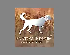 Fantom Indigo - Фантом Индиго