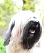 Старая Руса - Staraya Rusa