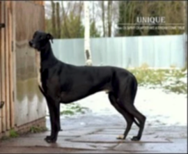 Артефакт - Артефакт