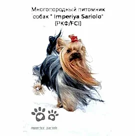 Imperiya Sariolo - Империя Сариоло