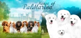 House Of Palmarino - House Of Palmarino