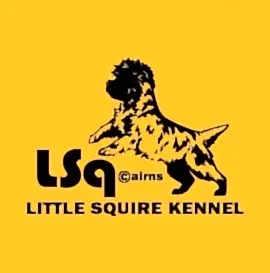 Little Squire - Литтл Сквайр Lsq