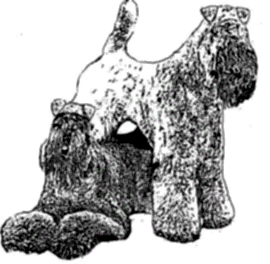 Волжский Аркос - Volzhskiy Arkos