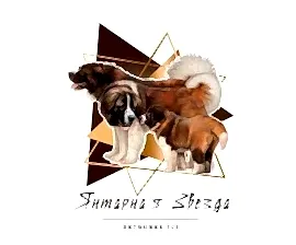 Yantarnaya Zvezda - Янтарная Звезда