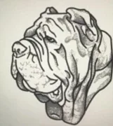 Собаки Древнего Мира - Cane Antichi Del Mondo