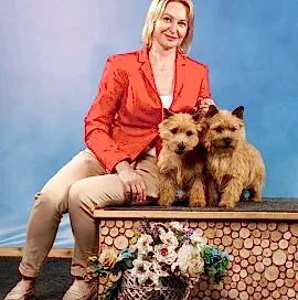 Из Юлвинграда