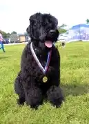 С Босфора Восточного - S Bosfora Vostochnogo