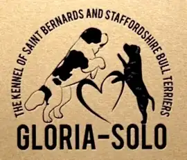 Gloria-Solo - Глория-Соло